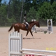 Blue Ridge Equestrian Farm