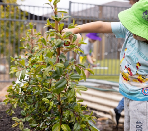 Tillys Play & Development Centre - Chisholm, NSW