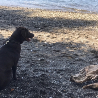 Scenic Beach State Park - Seabeck, WA