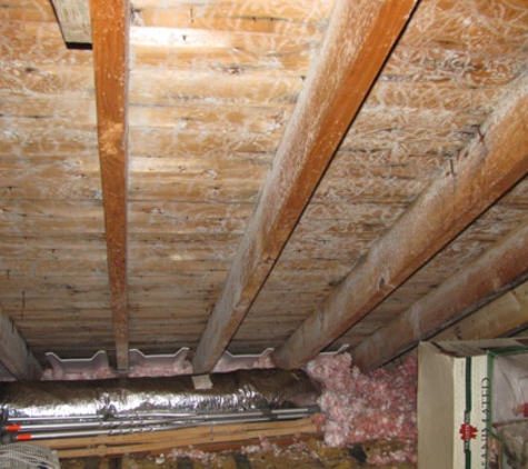 Mold Inspection & Testing Columbus OH - Columbus, OH