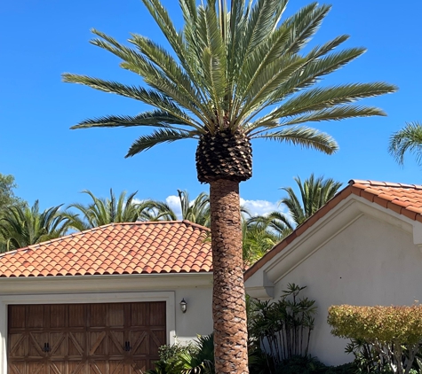 Stumpmasters Tree Services Inc - Valley Center, CA