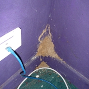 Gallery Image Number 6