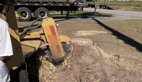 Wayne's Stump Grinding