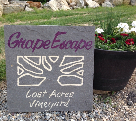 Lost Acres Vineyard - North Granby, CT