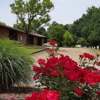 Chattanooga Veterinary Center gallery