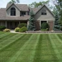 Wise Choice Lawn Care & Landscaping