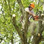 Green's Tree Service