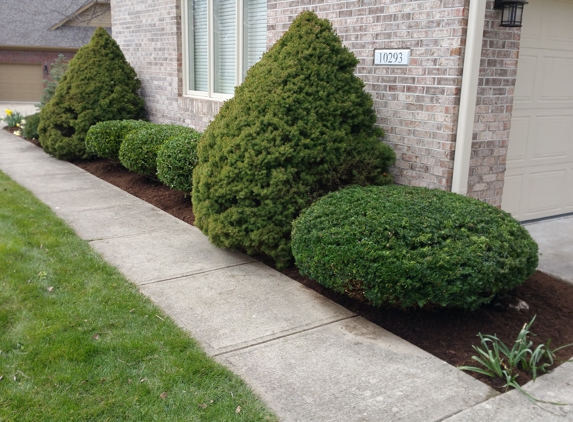 AJ's Lawn Care & Snow Removal - Fishers, IN