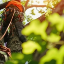 Tree Removal And Crane Service - Tree Service