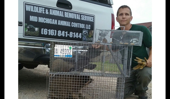 Mid Michigan Animal Control - Ionia, MI