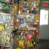 Toadz Bait gallery