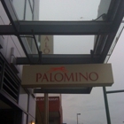 Palomino-Bellevue