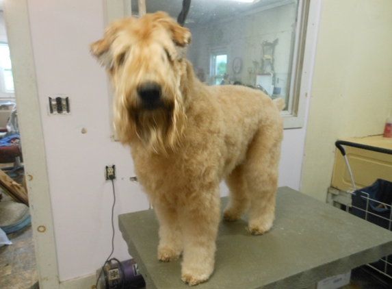 Critter Creations - Muncy, PA. soft-coated wheaton terrier