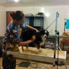 Animal Camp Pet Boarding & Grooming gallery