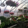The Whimsical Poppy gallery