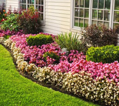 Ryno Lawn Care, LLC - Frisco, TX