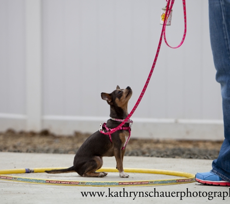 Shoreline Pet Lodge - Branford, CT