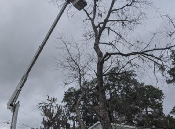 Charles Duff Tree Service. Bucket truck tree service taking down a dead tree