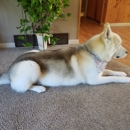 Magnolias Pet Grooming