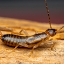 Jimmy The Bug Man - Pest Control Equipment & Supplies