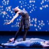 Northwest Ballet Academy gallery