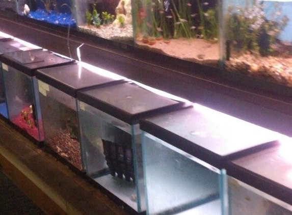 Aquatics Unlimited - Milwaukee, WI