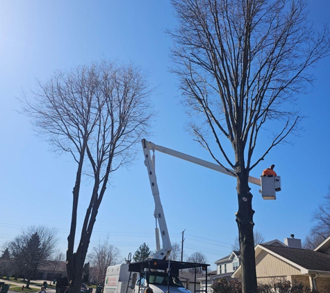 Reasonable Tree Experts - Crest Hill, IL