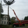 Zomerfeld's Tree Service Inc gallery