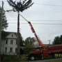 Zomerfeld's Tree Service Inc