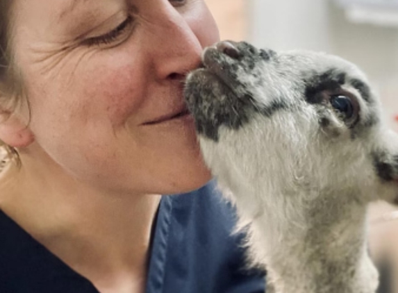 Barossa Veterinary Service - Kapunda, SA