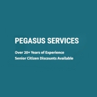 Pegasus Services