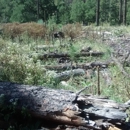 Don Swanner's Tree Service - Arborists