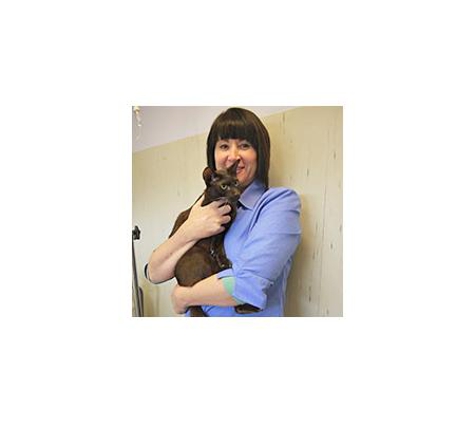 Earlwood Animal Hospital - Earlwood, NSW
