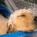 The Pooch Mobile - Pet Grooming
