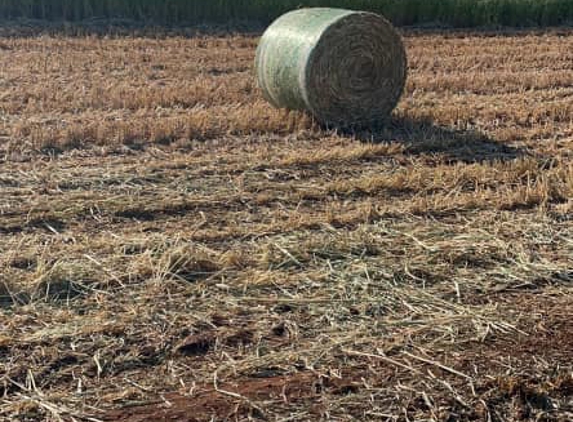 Darran Edwards Seed Cleaning & Contract Haymaking - Inverell, NSW