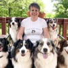 Highland Haven Dog Training gallery