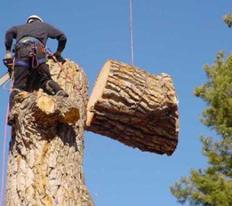 Environmental Tree Care Inc. - Malibu, CA