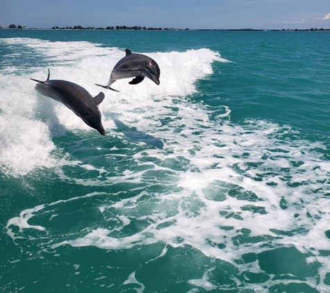 Sea Racer Tours - Fort Myers Beach, FL