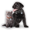 Pet Protector Independent Distributor gallery