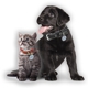 Pet Protector Independent Distributor