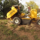 Stump & Root Removal - Stump Removal & Grinding