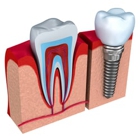 East Coast Dental Design: Mary Ann Garcia DDS