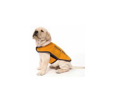 Pets Eternal Pet Memorial Services - Greenbank, QLD