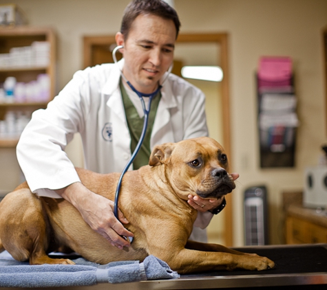 Aspen Grove Veterinary Care - Fort Collins, CO