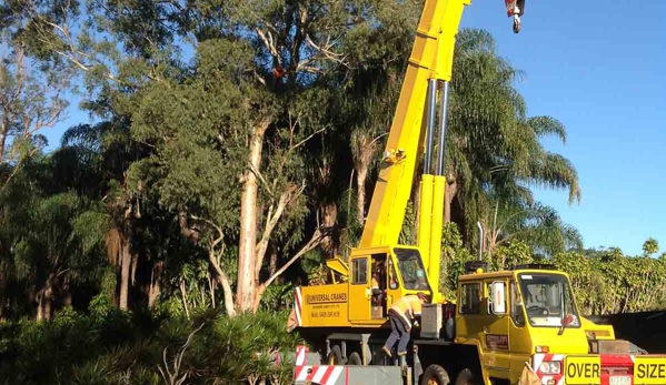 Steve's Tree Cutting - Wurtulla, QLD