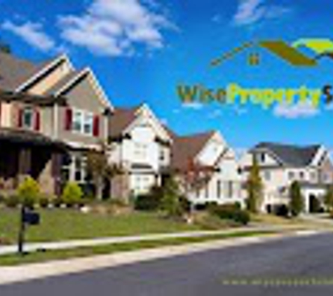 Wise Property Solutions - Johnson City, TN