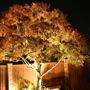 Outdoor Lighting Designs