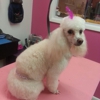 FOOFIE POOCHIES gallery