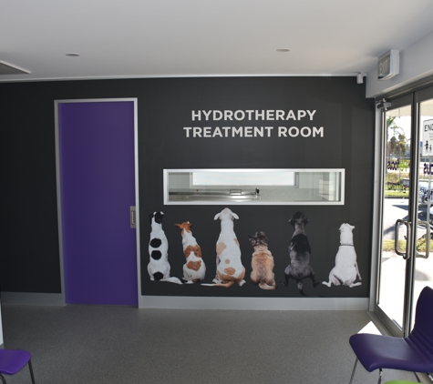 PetFocus Vetcare - Lavington, NSW