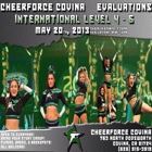 Cheer Force Inc